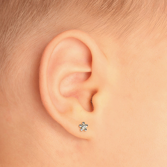 Studex System75 საყურეები/7531-6004/ 6 წყვილი