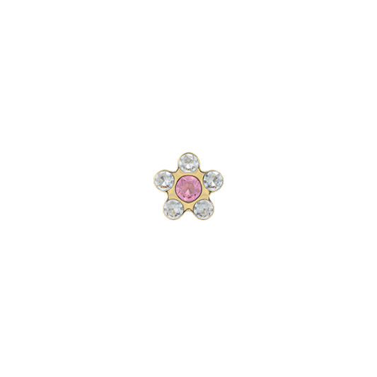 Studex System75 საყურეები/7531-6410/ 6 წყვილი