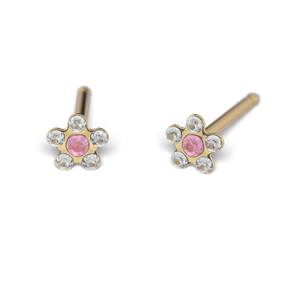 Studex System75 საყურეები/7531-6410/ 6 წყვილი