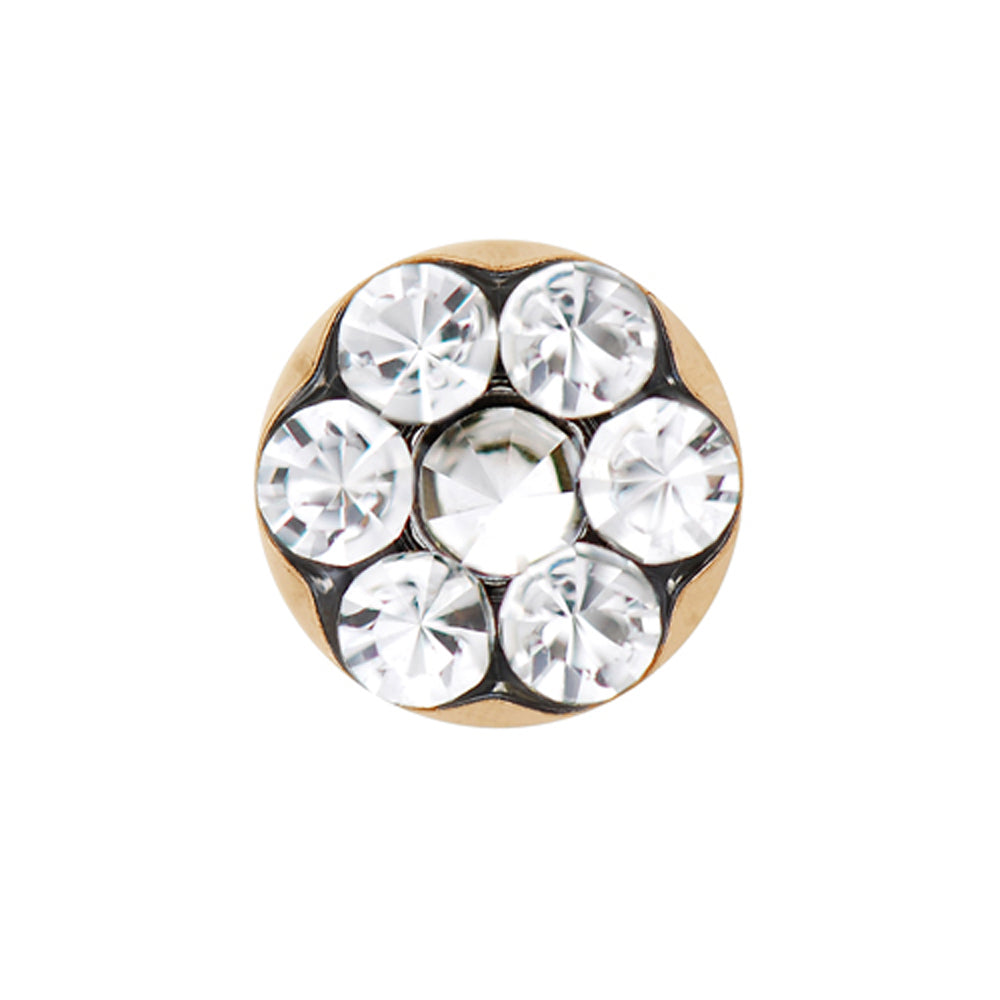 Studex-ის უნივერსალური საყურეები (აირჩიეთ) /PR-LD6004Y/ 4 წყვილი